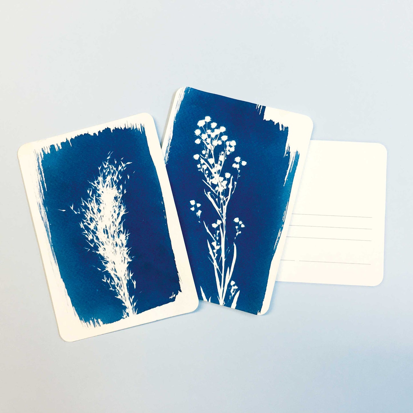 DIY cyanotype kit - postcard edition
