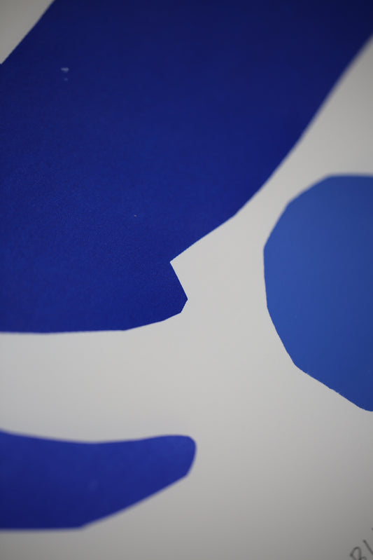 Artwork on paper "BLUE BIG BLUSH" framed in black wood