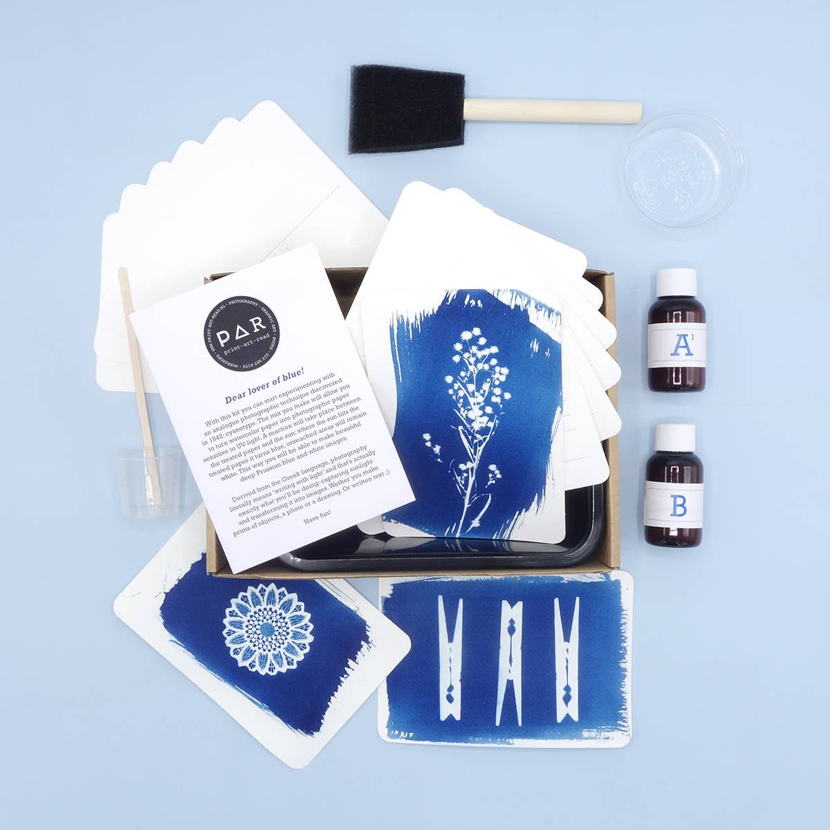 DIY cyanotype kit - postcard edition