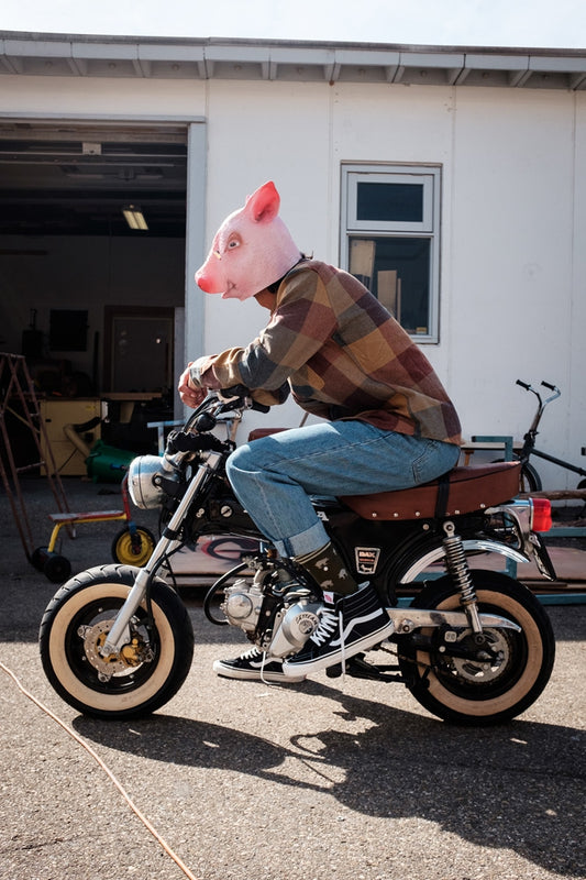 AG Socks Notorious PIG