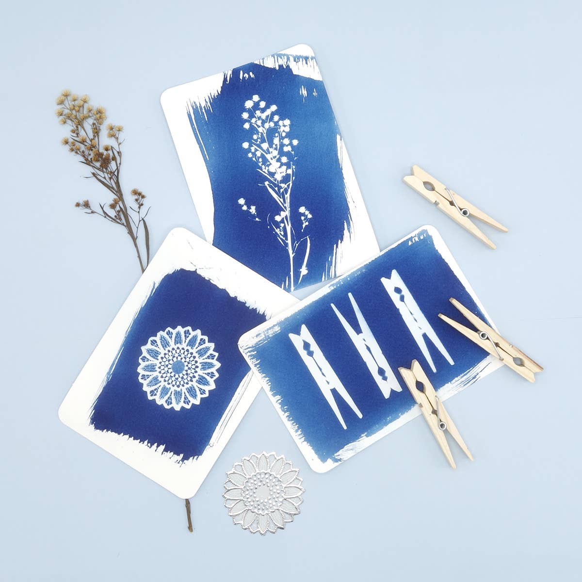 DIY cyanotype kit - postcard edition