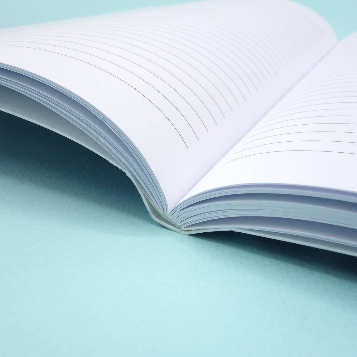 PAR - Notebook - Honesty 01