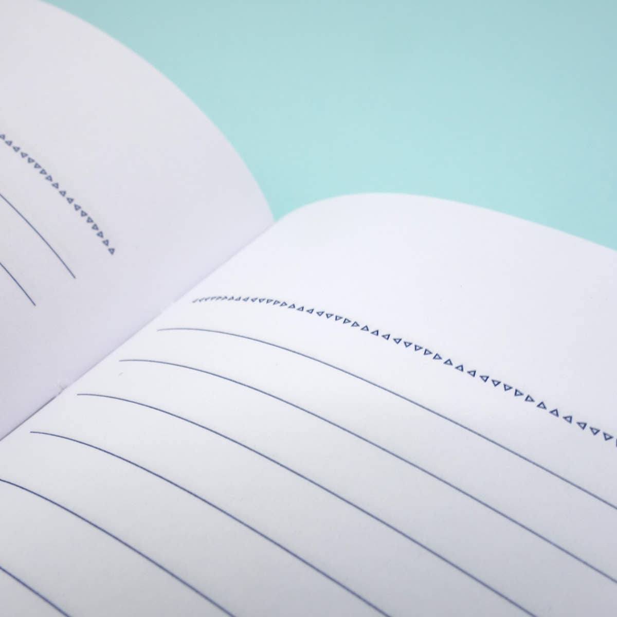 PAR - Notebook - Honesty 01