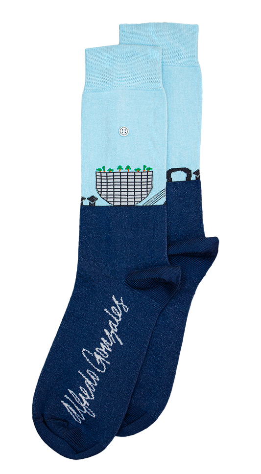 AG Socks Depot x AG Skyline