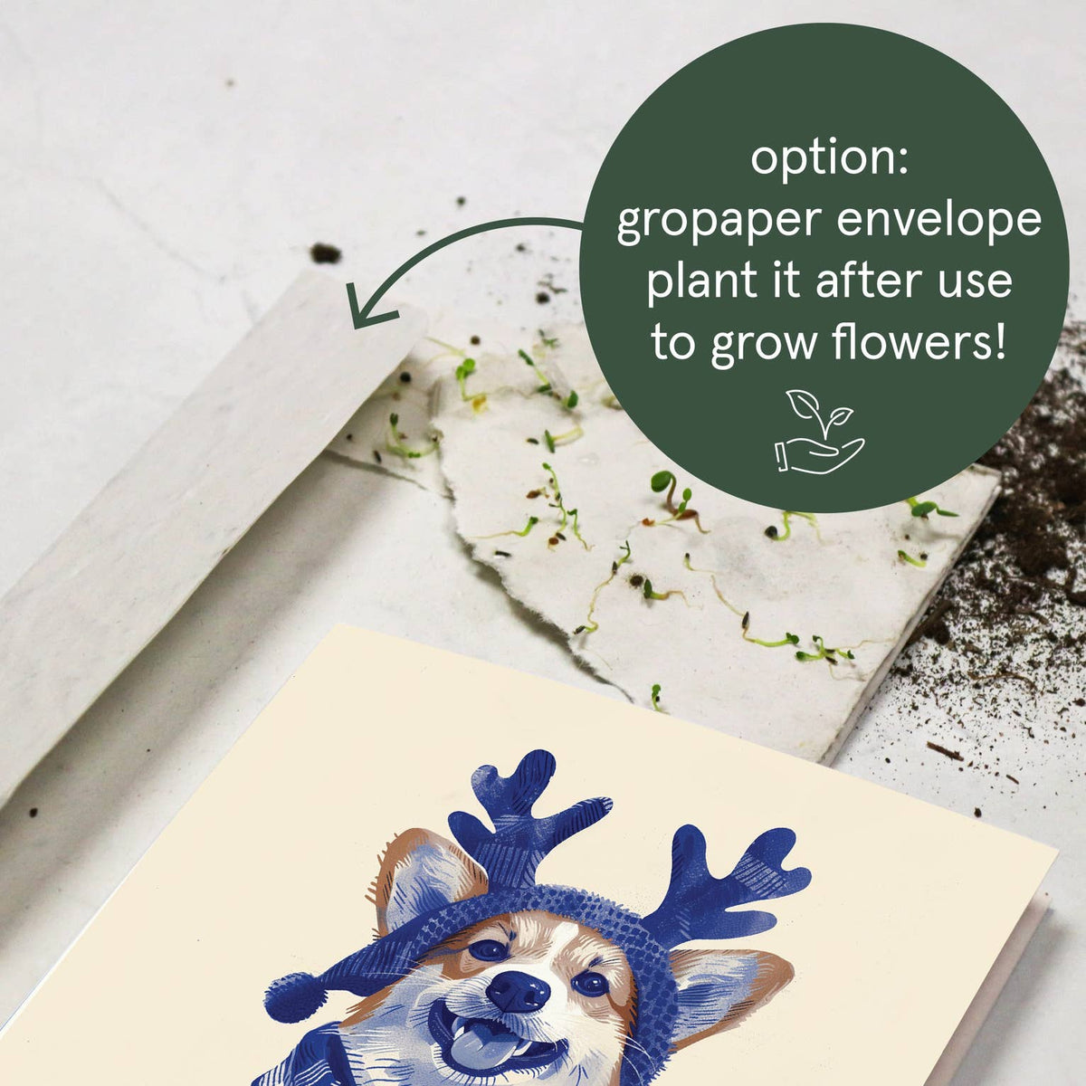 Botanopia - Furry And Bright | Christmas Card | Holiday Card